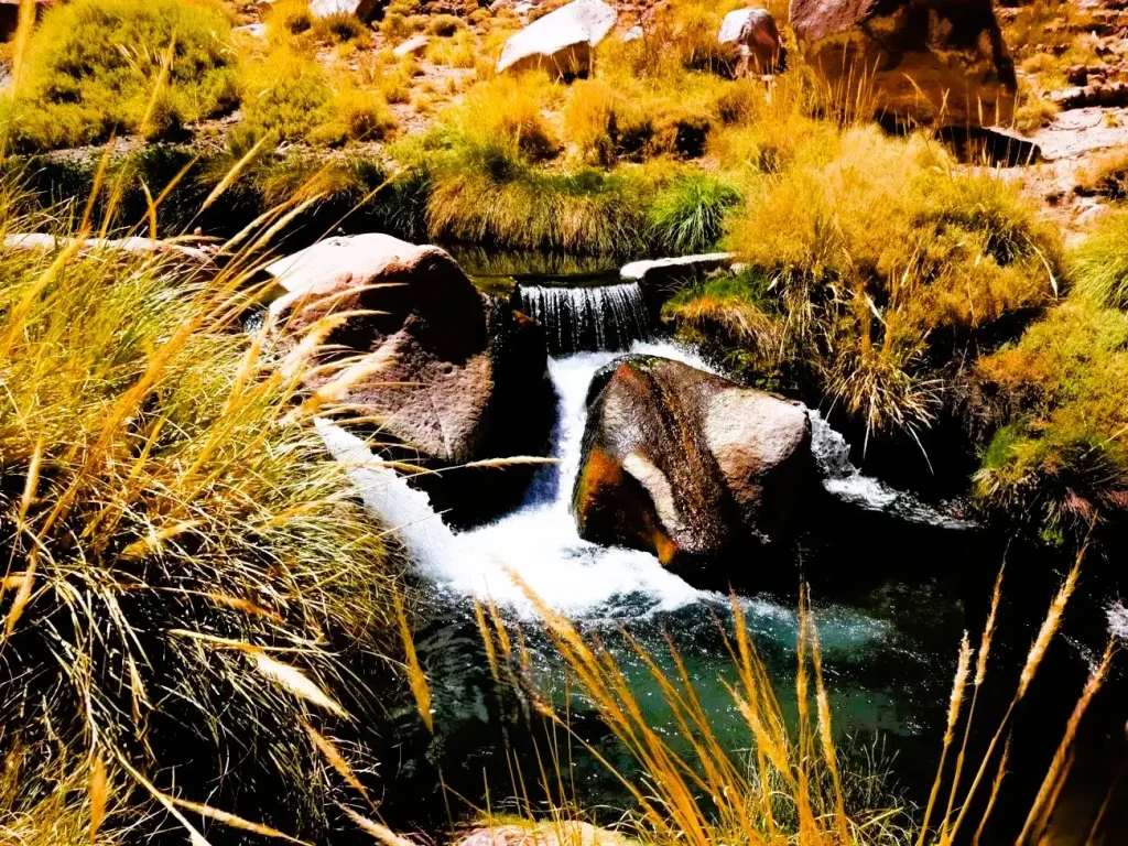 Termas de puritama