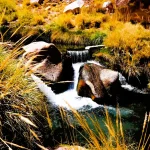 Termas de puritama