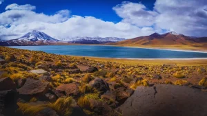 Lagunas