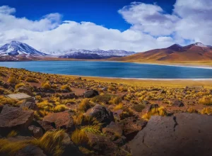Lagunas