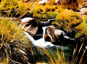 Termas de puritama