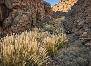 Cañón
