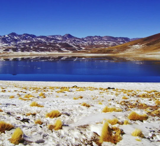 Desierto, Altitud, Andes