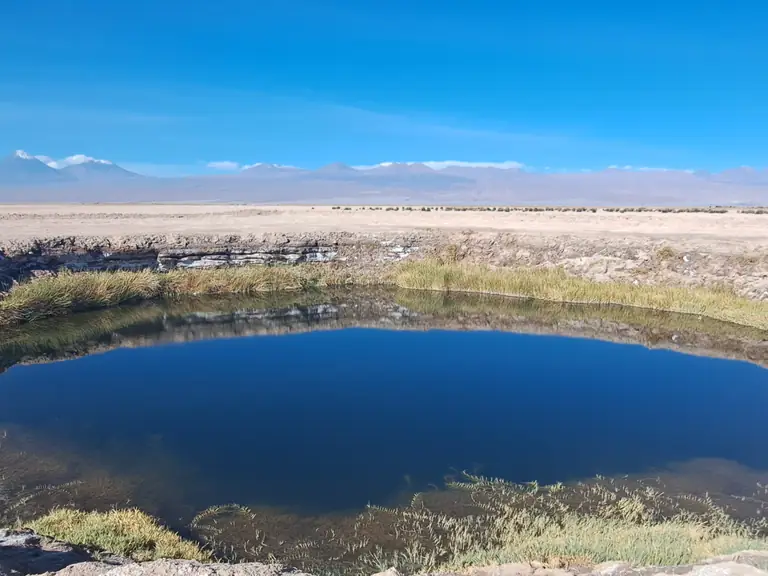 Laguna Cejar