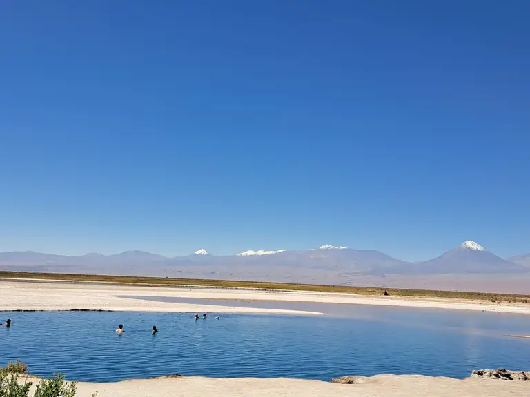 Laguna Cejar