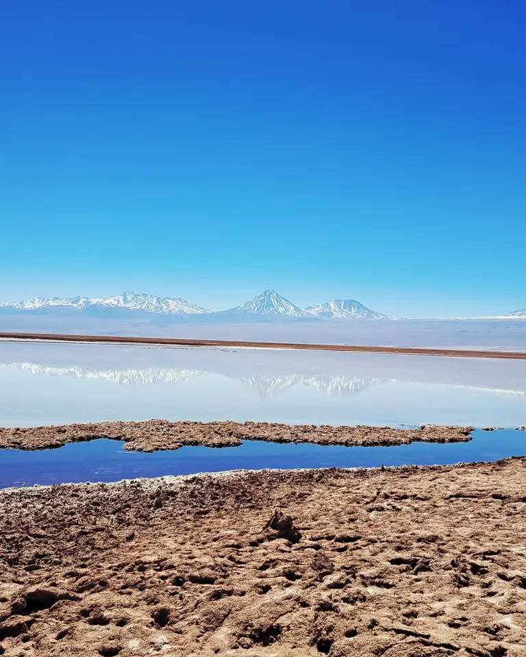 Laguna Cejar