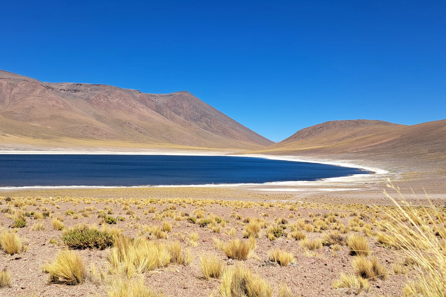 Piedras Rojas + Lagunas Altiplánicas